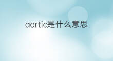 aortic是什么意思 aortic的翻译、读音、例句、中文解释