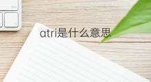 atri是什么意思 atri的中文翻译、读音、例句
