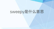 sweepy是什么意思 sweepy的中文翻译、读音、例句