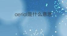 aerial是什么意思 aerial的中文翻译、读音、例句
