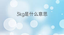3kg是什么意思 3kg的中文翻译、读音、例句