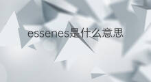 essenes是什么意思 essenes的中文翻译、读音、例句