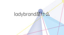 ladybrand是什么意思 ladybrand的中文翻译、读音、例句