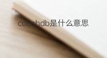 couchdb是什么意思 couchdb的中文翻译、读音、例句