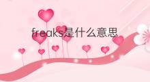 freaks是什么意思 freaks的中文翻译、读音、例句