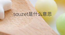 sauzet是什么意思 sauzet的翻译、读音、例句、中文解释