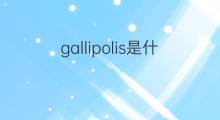 gallipolis是什么意思 gallipolis的中文翻译、读音、例句