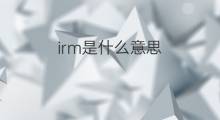irm是什么意思 irm的中文翻译、读音、例句
