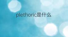 plethoric是什么意思 plethoric的中文翻译、读音、例句