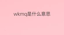 wkmq是什么意思 wkmq的中文翻译、读音、例句