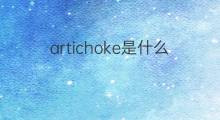artichoke是什么意思 artichoke的中文翻译、读音、例句
