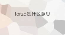 forza是什么意思 forza的中文翻译、读音、例句