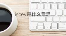 iscev是什么意思 iscev的中文翻译、读音、例句