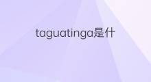taguatinga是什么意思 taguatinga的翻译、读音、例句、中文解释