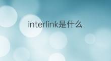 interlink是什么意思 interlink的中文翻译、读音、例句