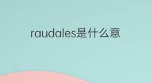 raudales是什么意思 raudales的中文翻译、读音、例句