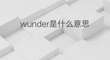 wunder是什么意思 wunder的翻译、读音、例句、中文解释