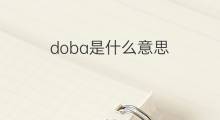 doba是什么意思 doba的中文翻译、读音、例句