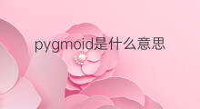 pygmoid是什么意思 pygmoid的中文翻译、读音、例句