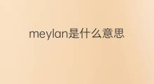 meylan是什么意思 meylan的中文翻译、读音、例句