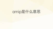 amip是什么意思 amip的中文翻译、读音、例句