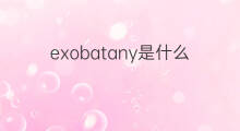 exobatany是什么意思 exobatany的中文翻译、读音、例句