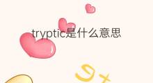 tryptic是什么意思 tryptic的中文翻译、读音、例句