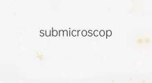 submicroscopic是什么意思 submicroscopic的中文翻译、读音、例句