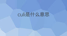 culi是什么意思 culi的中文翻译、读音、例句