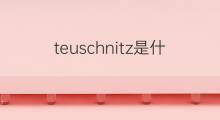 teuschnitz是什么意思 teuschnitz的中文翻译、读音、例句