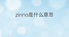 zinna是什么意思 zinna的翻译、读音、例句、中文解释