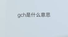 gch是什么意思 gch的中文翻译、读音、例句
