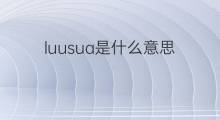 luusua是什么意思 luusua的中文翻译、读音、例句