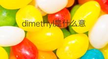 dimethyl是什么意思 dimethyl的中文翻译、读音、例句