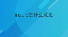 insula是什么意思 insula的中文翻译、读音、例句