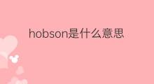 hobson是什么意思 hobson的中文翻译、读音、例句