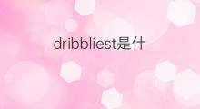 dribbliest是什么意思 dribbliest的中文翻译、读音、例句