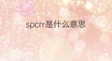spcrr是什么意思 spcrr的中文翻译、读音、例句