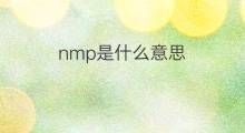nmp是什么意思 nmp的中文翻译、读音、例句
