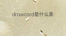 drawcord是什么意思 drawcord的中文翻译、读音、例句