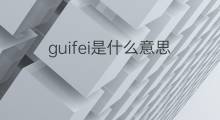 guifei是什么意思 guifei的中文翻译、读音、例句
