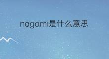 nagami是什么意思 nagami的中文翻译、读音、例句
