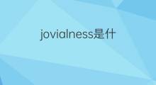 jovialness是什么意思 jovialness的中文翻译、读音、例句