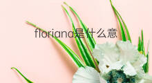 floriana是什么意思 floriana的中文翻译、读音、例句