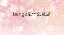 bengo是什么意思 bengo的中文翻译、读音、例句