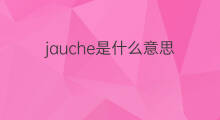jauche是什么意思 jauche的中文翻译、读音、例句
