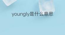 youngly是什么意思 youngly的中文翻译、读音、例句