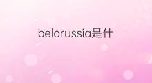belorussia是什么意思 belorussia的翻译、读音、例句、中文解释