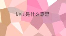 keui是什么意思 keui的中文翻译、读音、例句