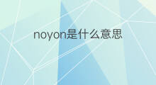 noyon是什么意思 noyon的中文翻译、读音、例句